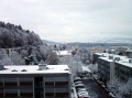 Winter an der Lngfeldstrasse